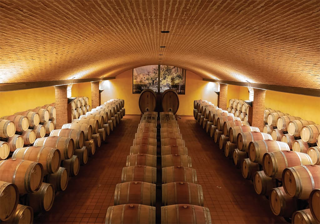 Botti in legno in una cantina vinicola di Scansano