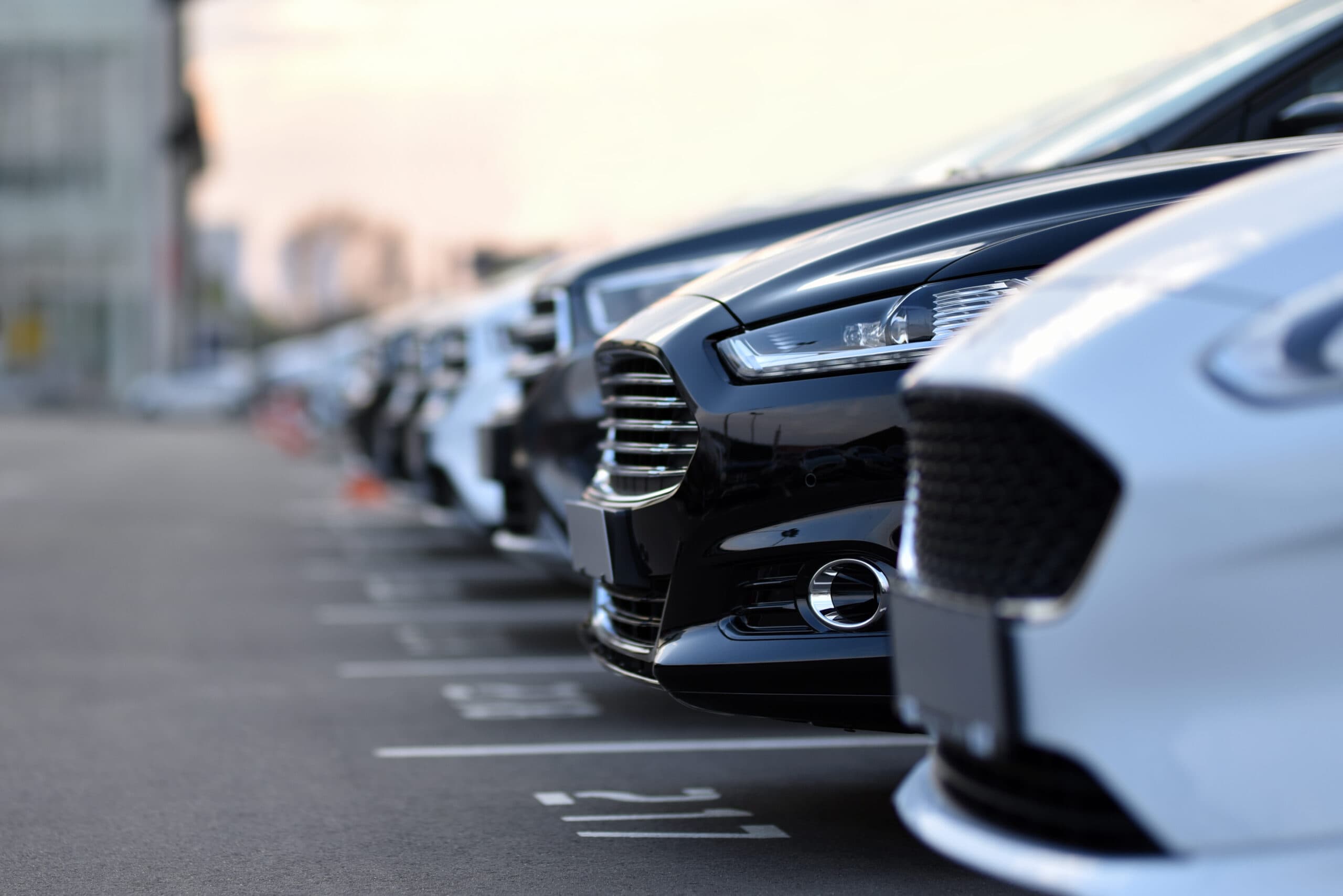 Fila di auto usate e KM0 esposte in concessionaria